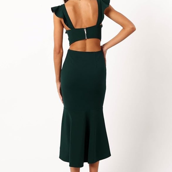 NWT Petal & Pup Womens Yvonne High Lo Midi Dress. - size large - Picture 6 of 8